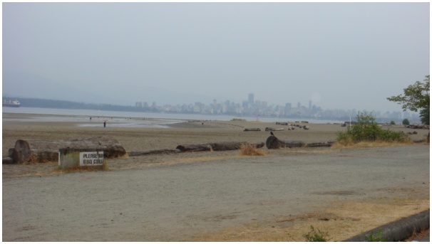 584x320 pixels (51K)